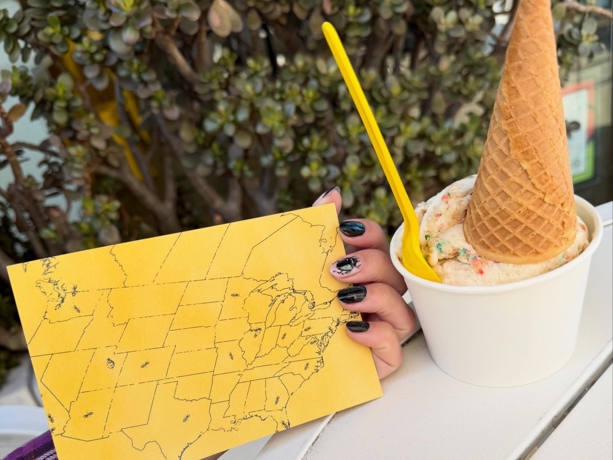 Noah Kahan’s Great Divide Tour: Pasadena City Guide + Vegan Food&nbsp;Guide